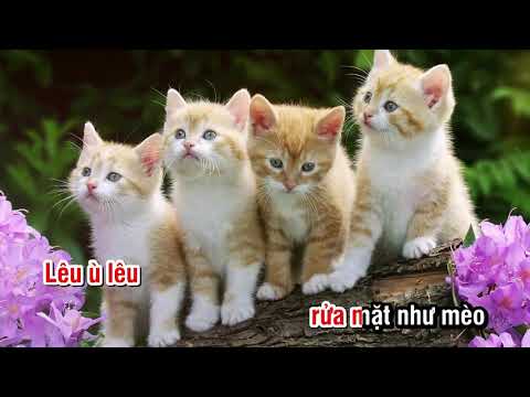 Rửa Mặt Như Mèo Karaoke