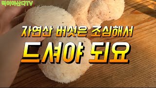 자연산 버섯과 장어구이 먹기