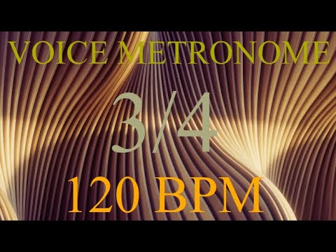 Voice Metronome  -  3 Count  -  120 bpm
