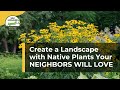 Create a Landscape with Native Plants Your NEIGHBORS WILL LOVE