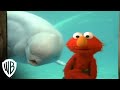 Sesame Street Elmo Loves You Special Friend Warner Bros Entertainment