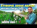 Ethiopia Addis Ababa City Tour Unity Park Zoo Park Slavery Uma Telugu Traveller