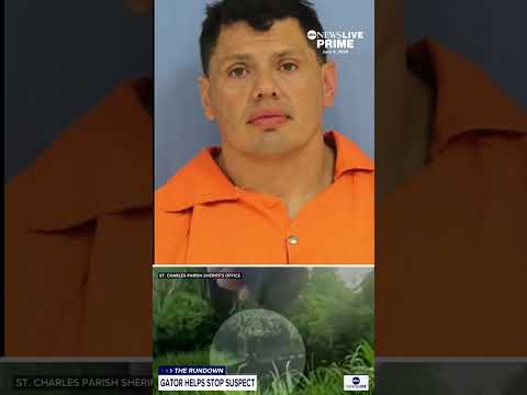 A Louisiana man was attacked by an alligator while escaping a traffic stop in St. Charles Parish.