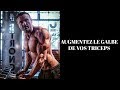 Augmentez le galbe de vos triceps