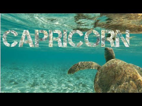 CAPRICORN LIKE IT OR NOT, YOU'RE MANIFESTING LOVE! - JULY 27 - AUG 2