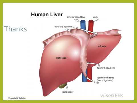Ehsan kabir Solicitor video.