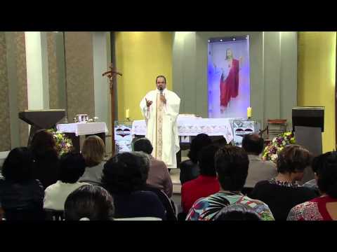 Homilia da Santa Missa 09/07/2013
