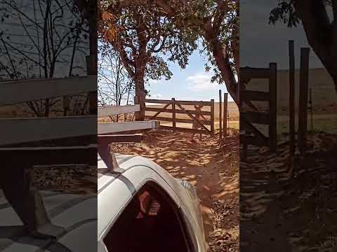 lugar que eu amo. Chácara rock in Roça - Aragoiânia GO