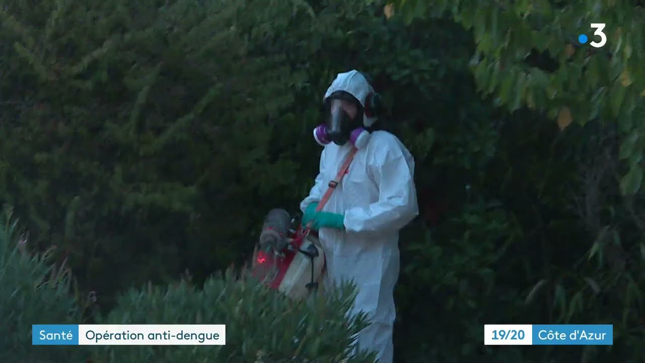 Un cas de dengue à Fayence dans le Var, opération de démoustication