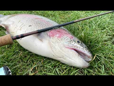 Caulfield racecourse STONKERS!