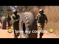 Zambia Army