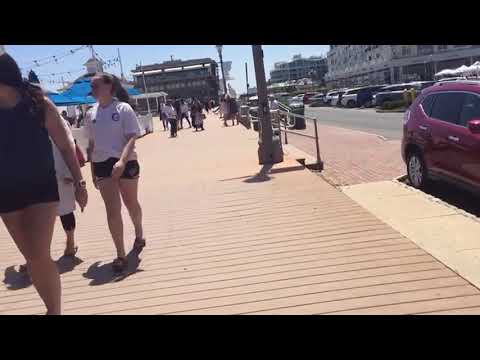 image-When can dogs go on the beach in Long Branch NJ?