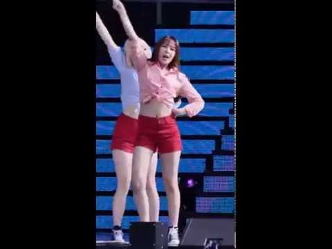 150912 음중 소나무 - 2