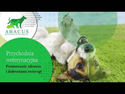 Zobacz filmy, Przychodnia Weterynaryjna "ABACUS" Małgorzata Wasilewska-Golba, Sosnowiec