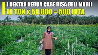 Download lagu Luar Biasa!! Tanam 1 Hektar Cabe Bisa Beli Mobil Pajero mp3 Download lagu Luar Biasa!! Tanam 1 Hektar Cabe Bisa Beli Mobil Pajero mp3