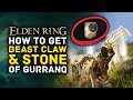 Elden Ring | How To Get the Amazing Beast Claw, Stone of Gurranq + 6 Deathroot Locations