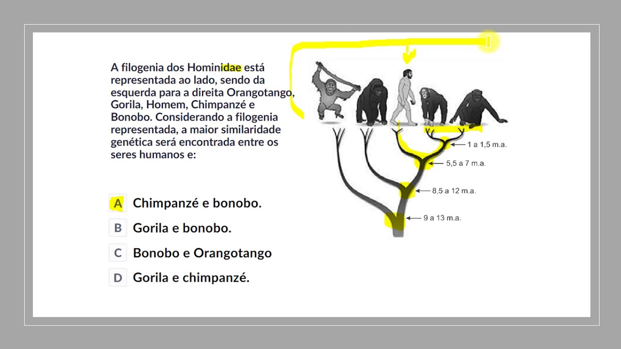 Explicação de exercícios de sistemática filogenética