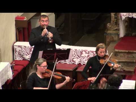 Mauro Pavese-Torelli Concerto in Re Maggiore