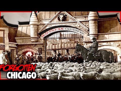 Chicago’s Lost Union Stockyards | Chicago's 2nd Great Fire