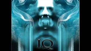 IQ - You Never Will