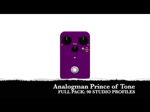Rigbusters Kemper Profiles - Analogman Prince of Tone 1
