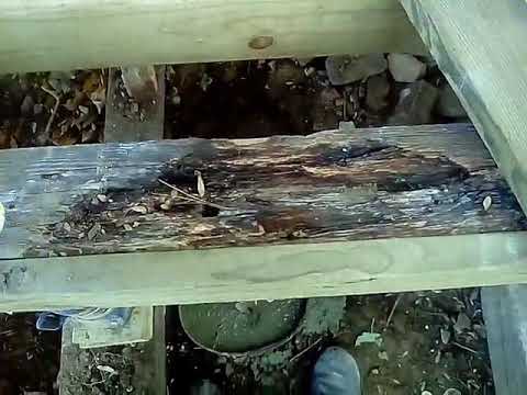 Bondo Rotted Wood Restorer VS. Minwax High Performance Wood Hardener