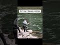 When Salmon Fishing Doesn’t Go as Planned #fishing #riverfishing #salmonfishing