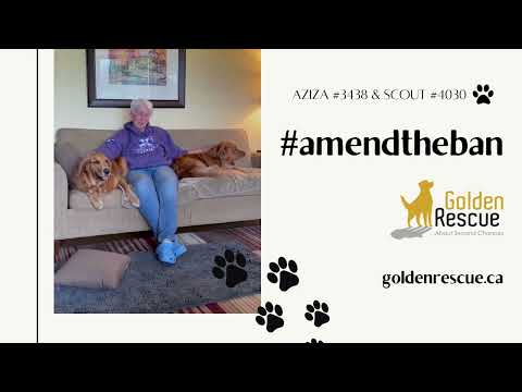 Aziza #3438 & Scout #4030