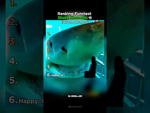 Ranking The Funniest Shark Moments Part 2