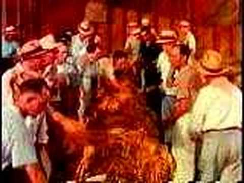 Lucky Strike- it's toasted