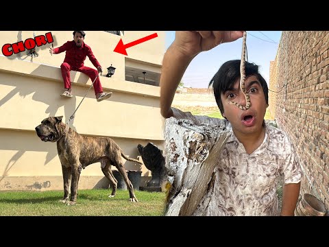 Mamu Ny Big Bully Dog Chori Kr Lea 😰 Dunia Ka Sab Sy Chota Snake 🐍