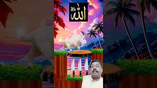 Download lagu Islamic #allaha #allaah #allah #animals #viralvideo #shortvideo #BM Bhaishorts mp3 Download lagu Islamic #allaha #allaah #allah #animals #viralvideo #shortvideo #BM Bhaishorts mp3