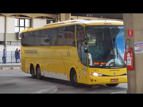 O mal - assombrado 5813