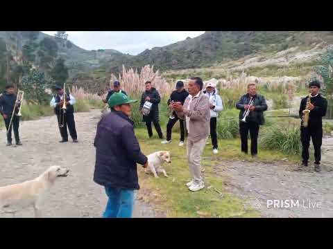 Albazo 🎶 | Festividades Shucos 2025 – Tixán, Alausí