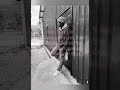 testing your patience #test #patience #verses #reels #viral #shorts