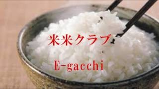 E- gacchi