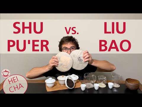 TASTING HEI CHA: Shu Pu'er vs. Liubao