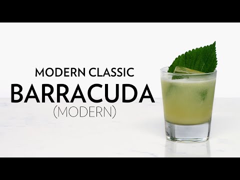 Barracuda – The Educated Barfly