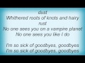 Sparklehorse - Sick Of Goodbyes Lyrics