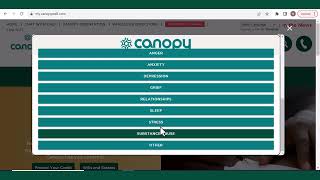 Virtual Care Navigator