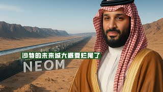 Thumbnail for 沙特的未来城大概要烂尾了!