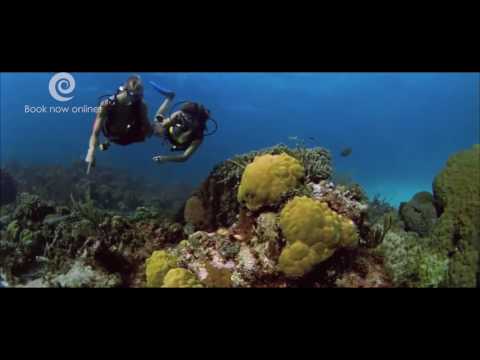 Paradise Beach Hotel & Resorts - Roatan, Honduras | Signaturevacations.com