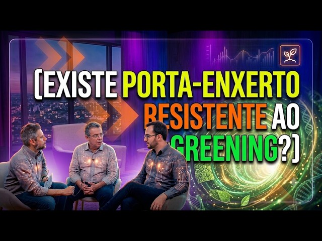 Existe porta-enxerto resistente ao greening?