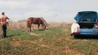 Хутора река оша рыбалка