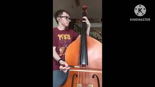 Mr Krinkle - Primus (Upright Bass Cover Full Version)