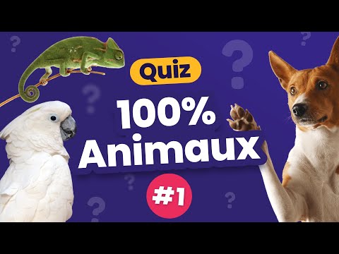 QUIZ 100% Animaux #1 - Culture Générale - 24 Questions