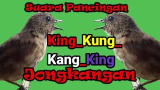 Download lagu MP3 Suara Pancingan Jongkangan, Apapun Jongkangan Anda Dijamin Langsung Nyaut...!!!! mp3 Download lagu MP3 Suara Pancingan Jongkangan, Apapun Jongkangan Anda Dijamin Langsung Nyaut...!!!! mp3