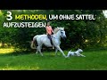 3 Geniale Tricks So Steigst Du Ohne Sattel Aufs Pferd Schritt Trab Galopp