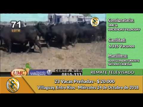 24-10-18 - Remate Televisado de UMC & HACIENDAS VILLAGUAY - Entre Ríos