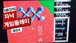 퀘이사존